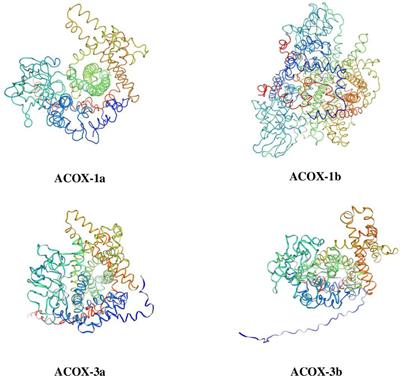 Molecular cloning, tissue distribution and nutritional regulation of four acyl-coenzyme A oxidase (acox) isoforms in Scylla paramamosain
